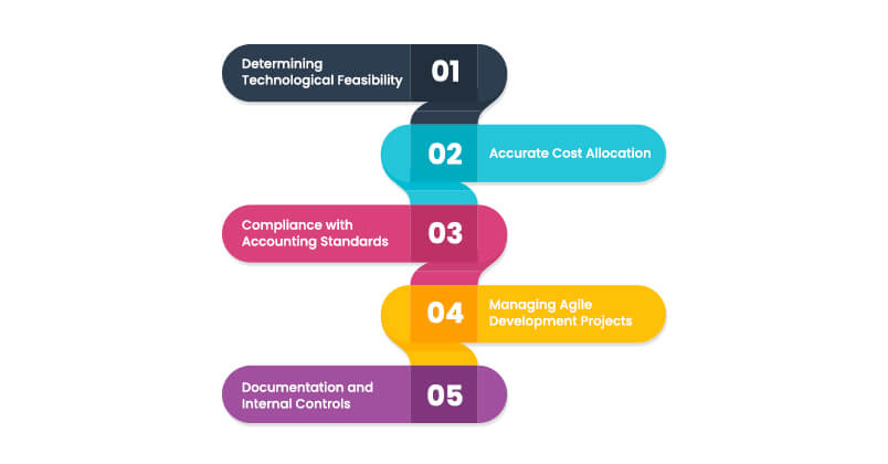 Challenges in Software Development Capitalization